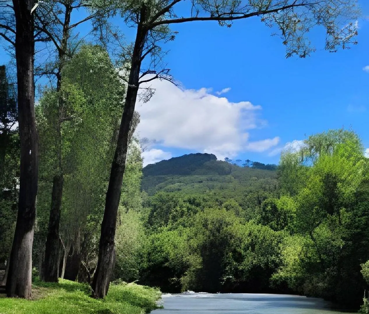 Cabana Pequeno Bosque C/Jacuzzi São Joaquim 0*,  Brazília